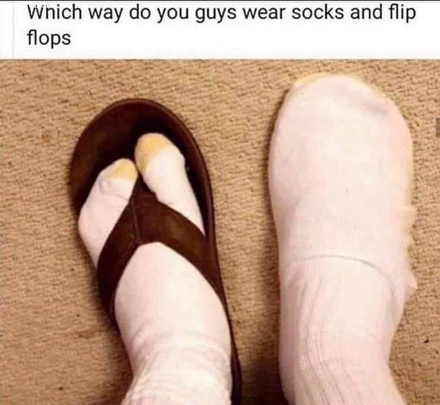 socks4.jpg