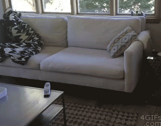 sofa_eating_remote_control.gif