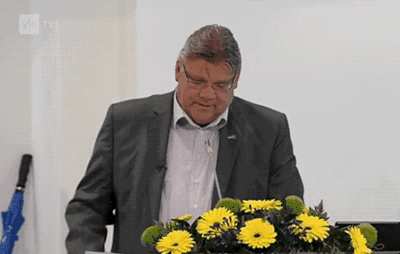 soini.gif