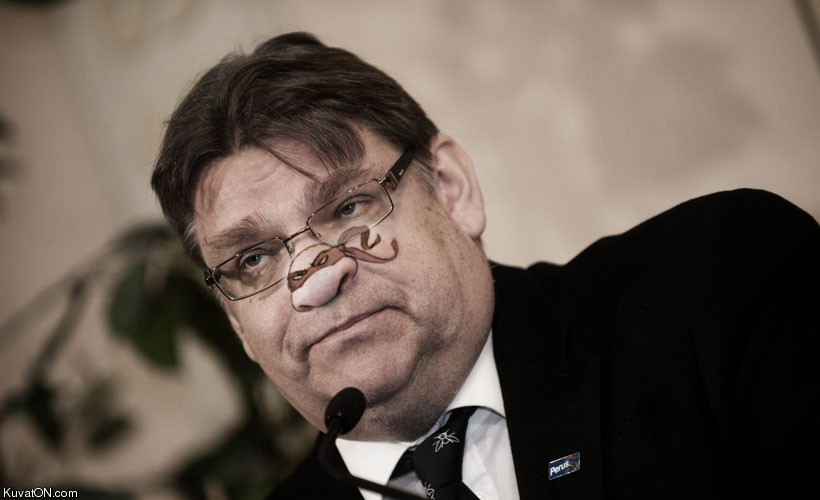 soini_turtles_nose.jpg