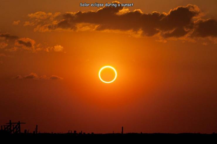 solareclipse9.jpg