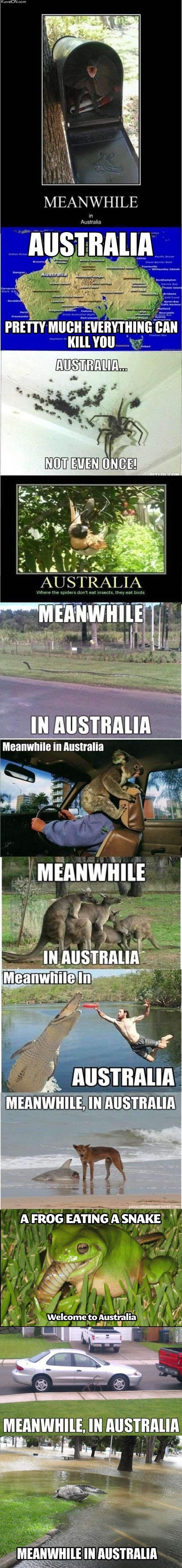 some_truths_about_australia.jpg