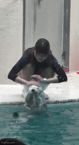 sopo_kaveri.gif