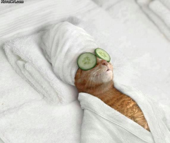 spa_day.jpg