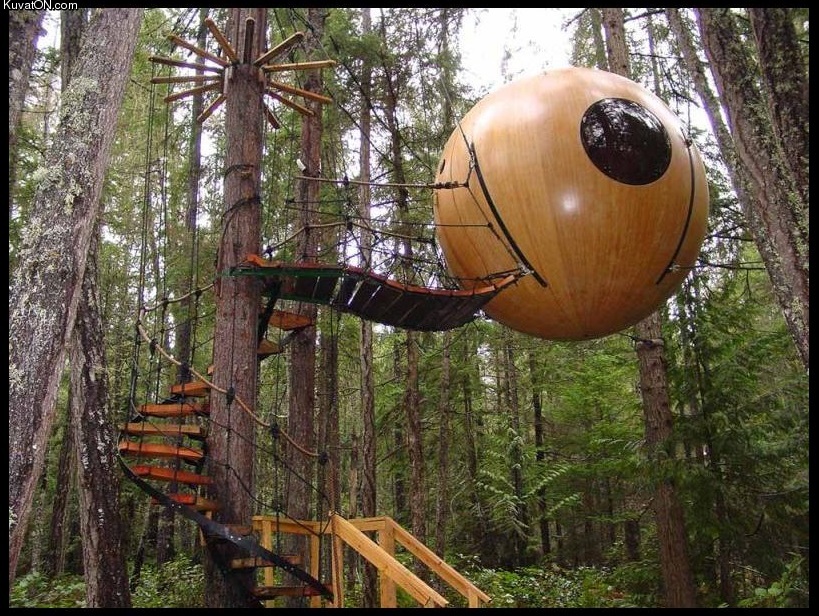 spherical_treehouse.jpg