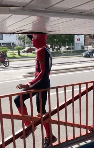 spidermaaann.gif