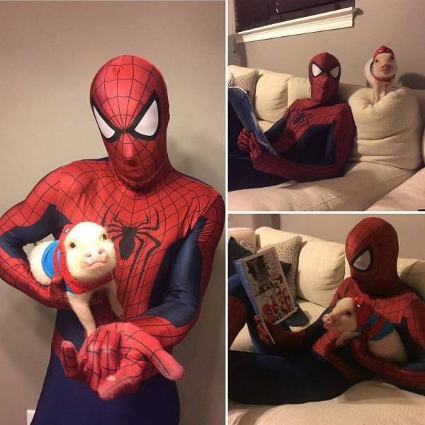 spiderman_and_spiderpig3.jpg
