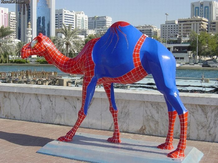 spiderman_camel.jpg