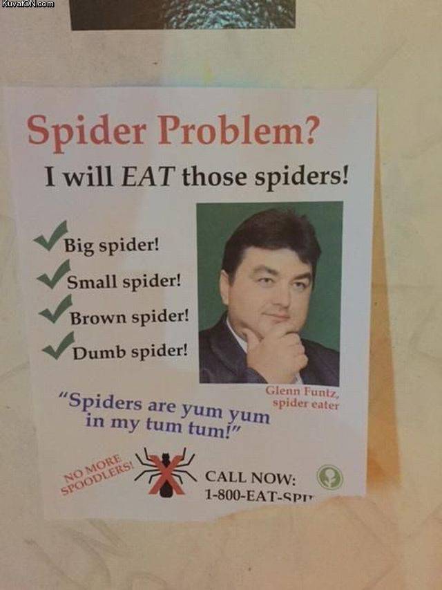 spiderproblem.jpg