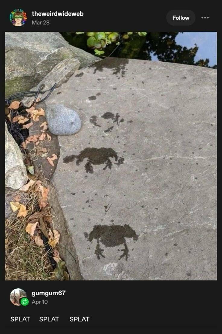 splat_splat.jpg
