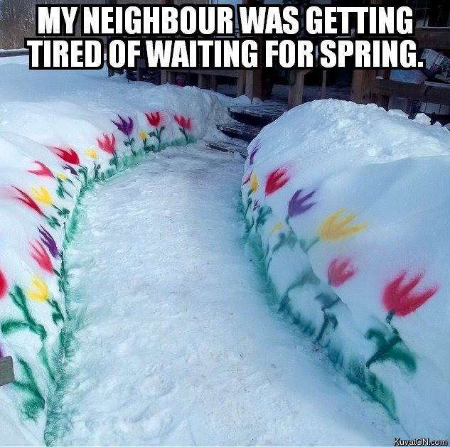 spring_2.jpg
