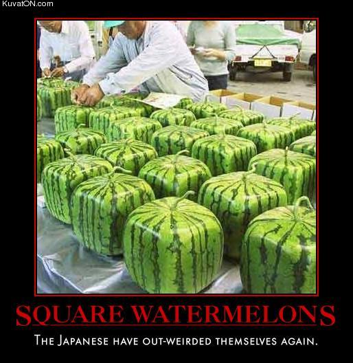 square_watermelons.jpg