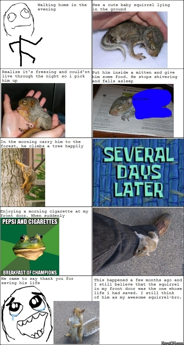 squirrel_friend.jpg