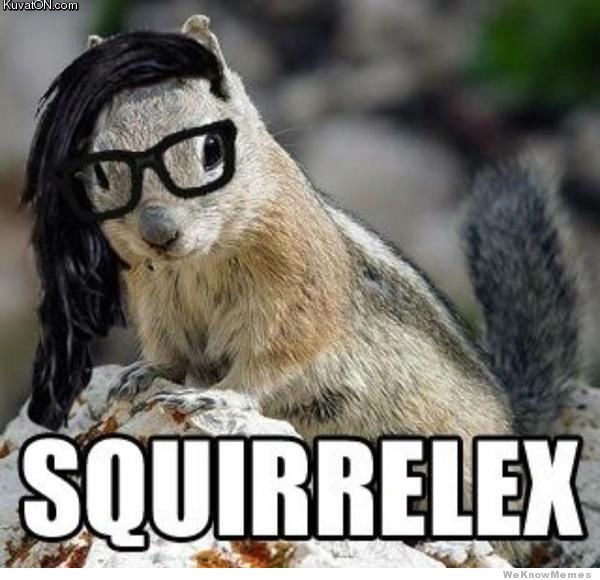 squirrelex.jpg