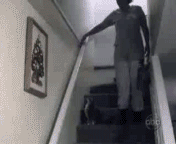 stairs_cat.gif