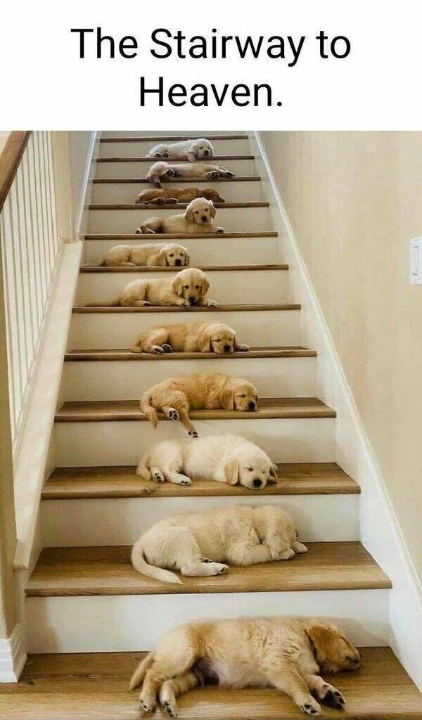 stairway.jpg