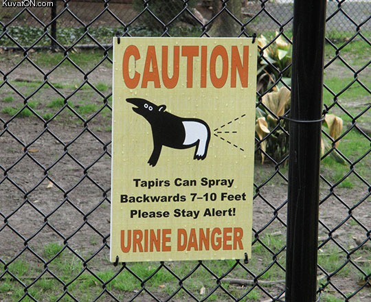 stay_safe_and_have_pun_at_the_zoo.jpg