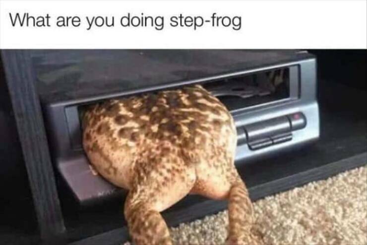 stepfrog.jpg
