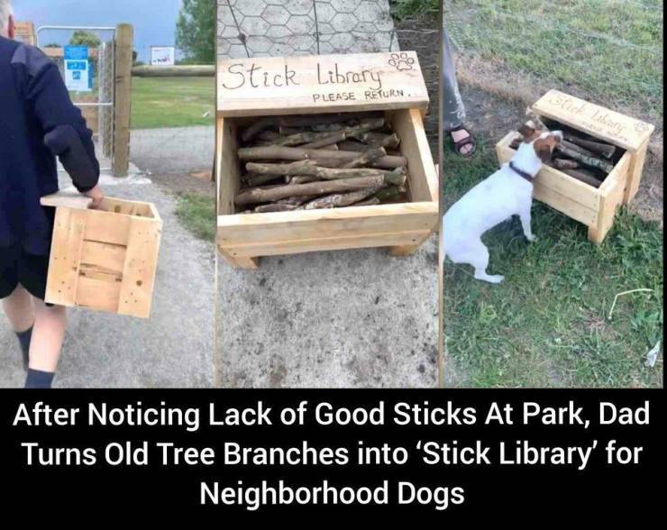 sticklibrary.jpg