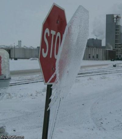 stop_or_freeze.jpg