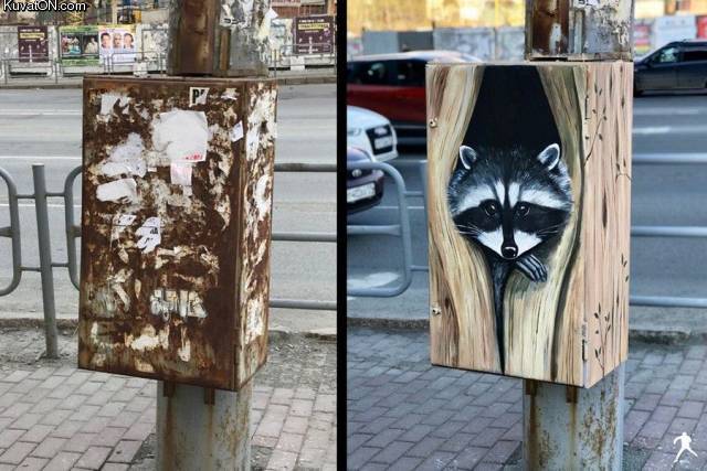streetart_raccoon.jpg