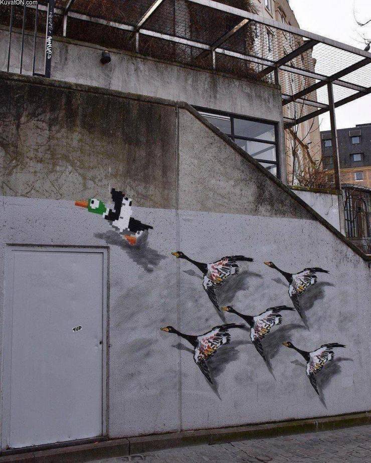 streetartduckhunt.jpg