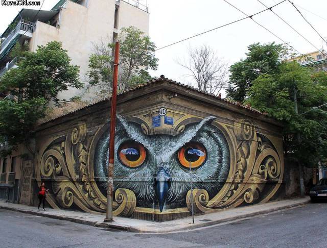 streetartowl.jpg