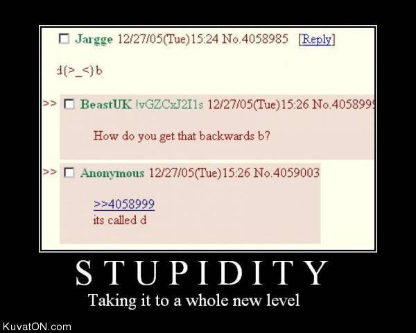 stupidity.jpg