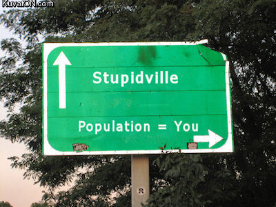 stupidville.jpg