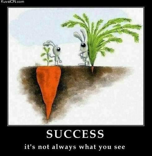 success_-_its_not_always_what_you_see.jpg