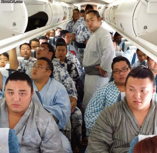 sumo_plane_full.jpg