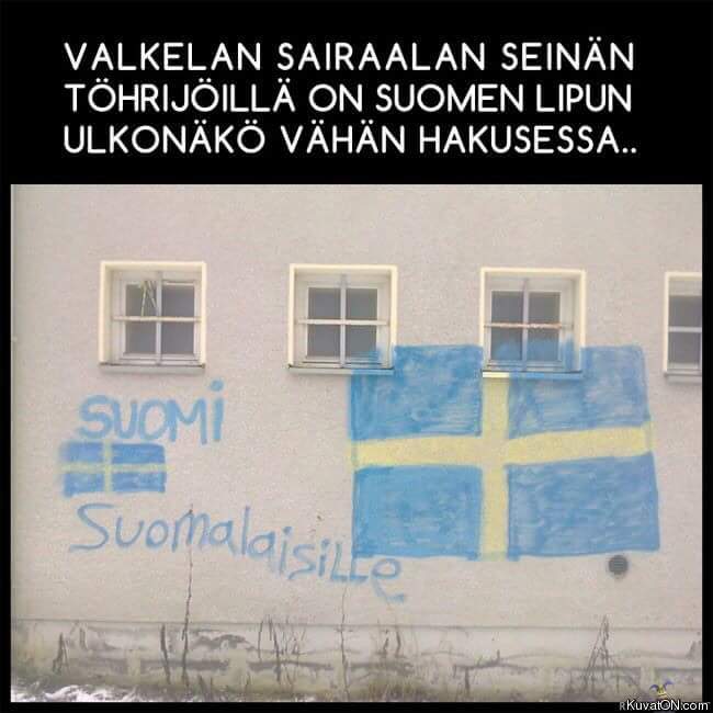 suomen_lippu_hakusessa.jpg