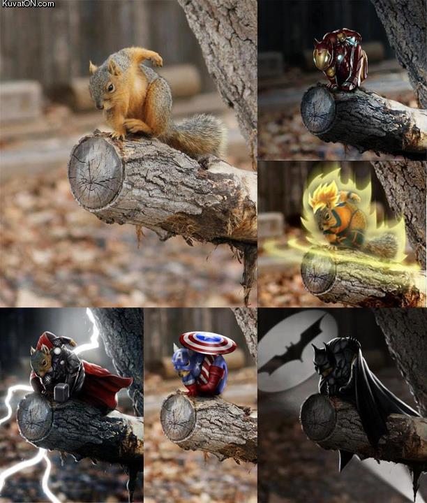 super_squirrel.jpg
