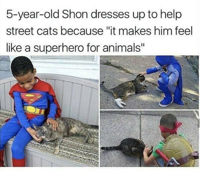 superhero_for_animals.jpg