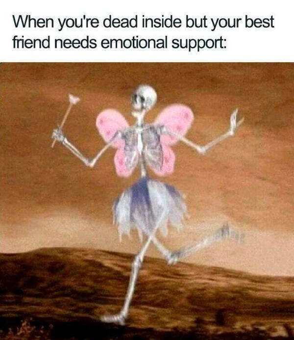 support4.jpg