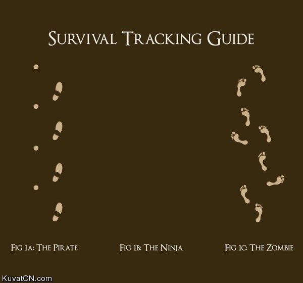 survival_tracking_guide.jpg