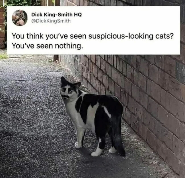 suspicious.jpg