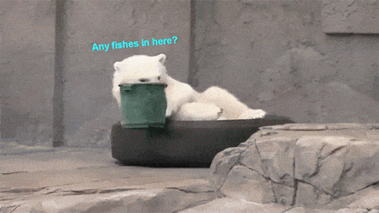 syomaaaan5.gif