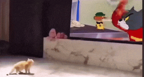 säikähti3.gif