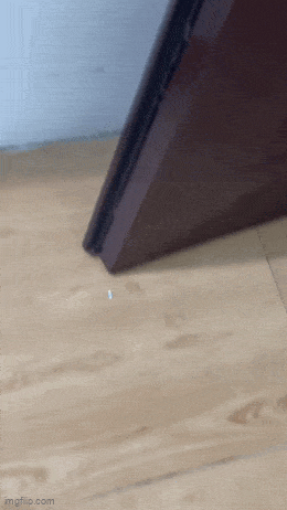 taallako_kaikki.gif