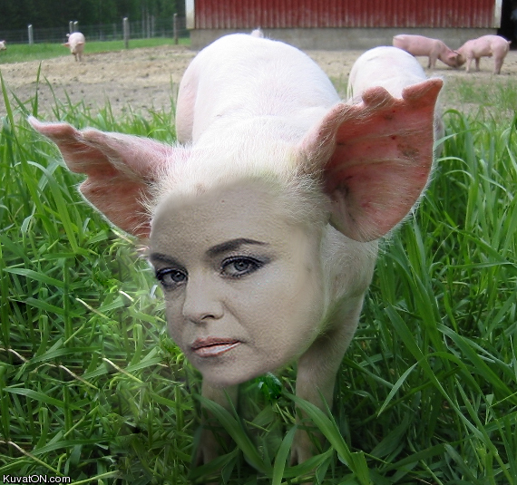 takiainen.jpg