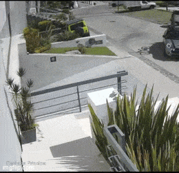 talliin.gif