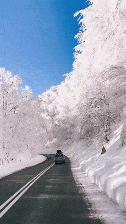 talvinen_maisema.gif