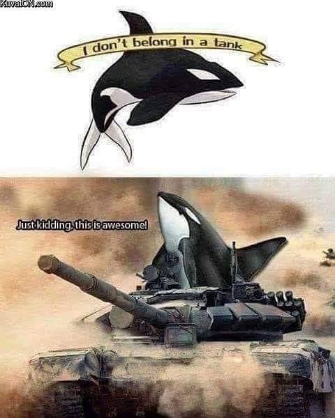 tankwhale.jpeg