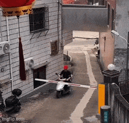 tanne_se_kypara.gif