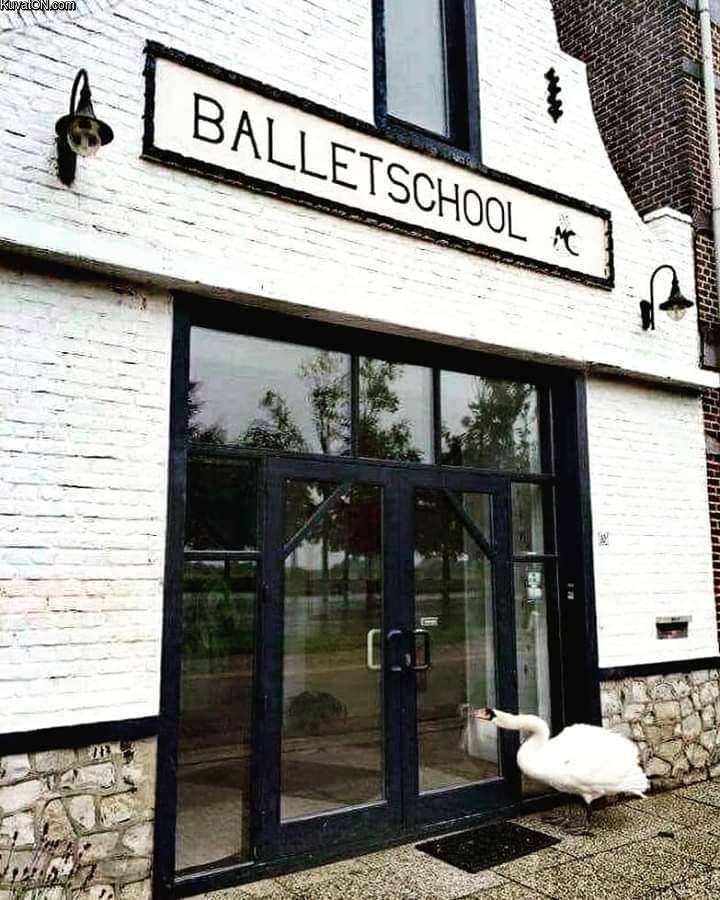 tanssikoulu.jpg