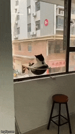 tarkkailija05.gif
