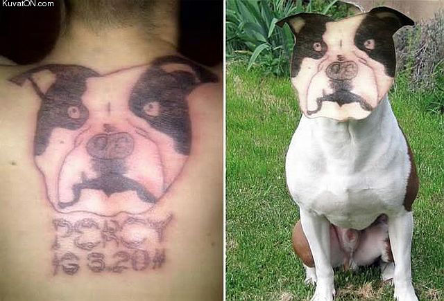 tattoo_fail_4.jpg