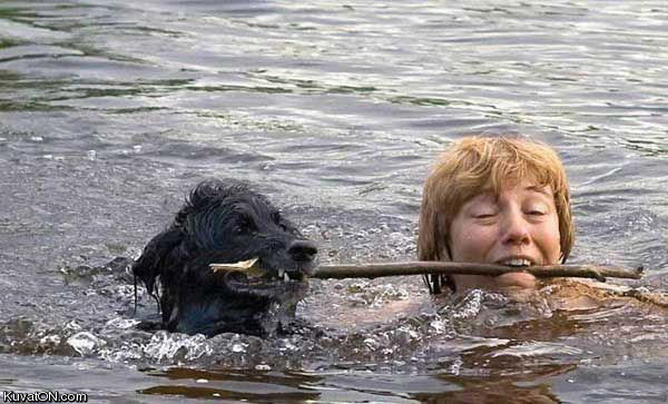 teamwork_dog.jpg
