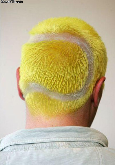 tennis_ball_haircut.jpg